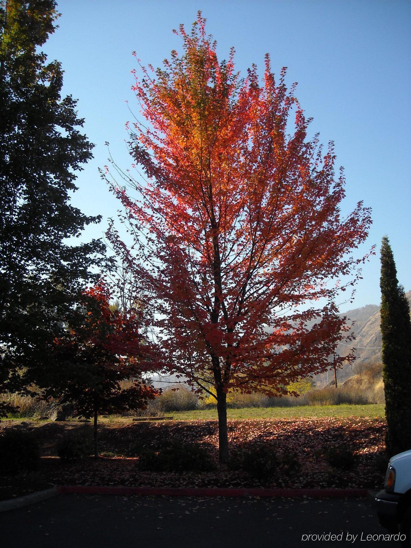 Holiday Inn Express Roseburg By Ihg Esterno foto